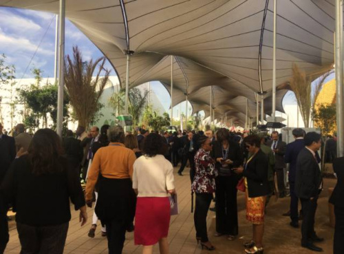 RF<a target='_blank' ></a>፹ z