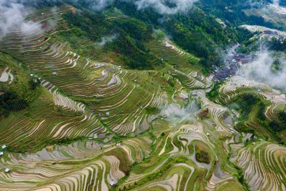 貴州加榜梯田雨后清新如畫