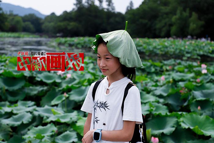 入伏有“涼”方 “花式”避暑輕松Get！