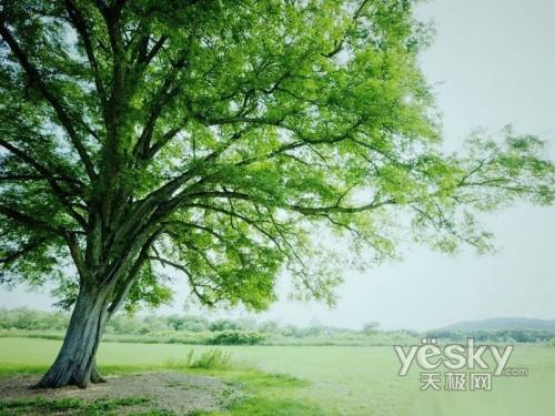 神秘的s軍團 深度剖析聯想ThinkPad T400s