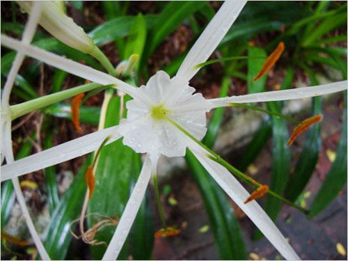 本周數碼相機市場 消費者關注度前十熱機