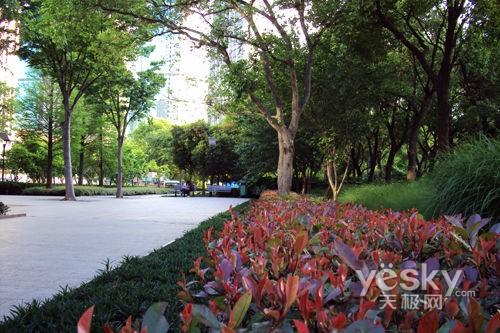 最美還是夕陽紅 十一老年旅游相機選購推薦