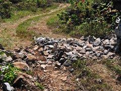 G 500領銜——試駕奔馳全系SUV車型 汽車之家 G 500領銜——試駕奔馳全系SUV車型 汽車之家