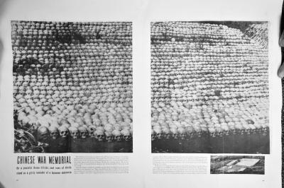 ����İ׹��ա����޷���