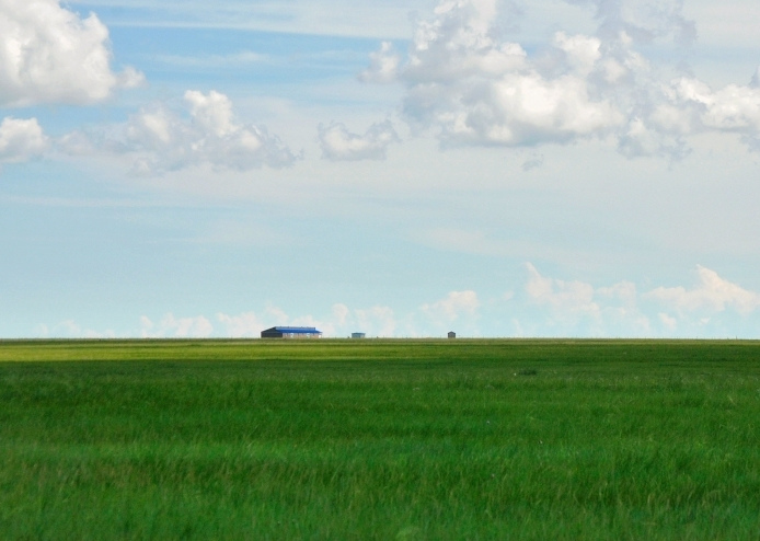這個夏天，留一幀給“呼倫貝爾綠”