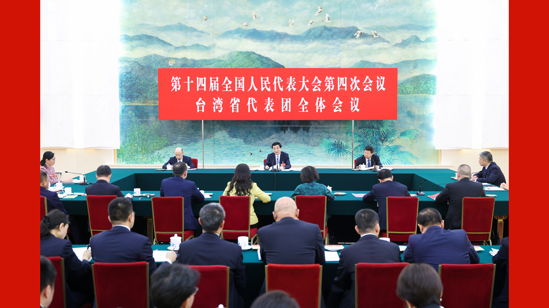 王滬寧參加臺(tái)灣代表團(tuán)審議