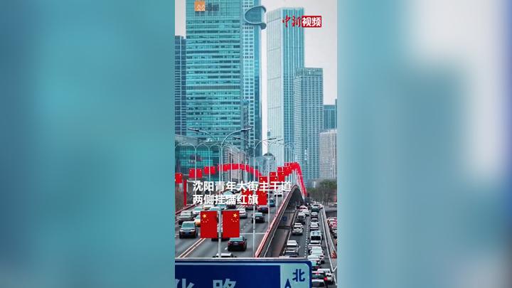 沈陽全城披紅 迎第十三批志愿軍烈士遺骸歸國