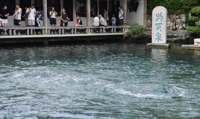 山東濟南：趵突泉“水涌若輪”美景重現