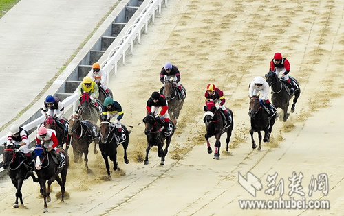 ����ِ�R���d�A��(chu��ng)��(hu��) ���e��ҕ�Xʢ��